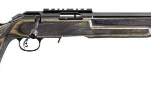 RUG 8360 AMER RFTP 22LR 18 TARGET TH BLK LAM BL