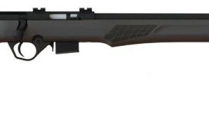 ROSSI RB17H2111 RB17 BOLT ACT 17HMR 21 5+1 BLK