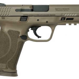 S&W 45ACP M&P45 M2.0 FDE TRUGL