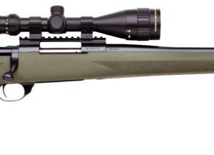 HOWA HGK62208+ 3-10X44 GRN 22 6MM CRD