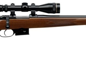 CZ 527 American 204 Ruger 22" Barrel 5+1  03024
