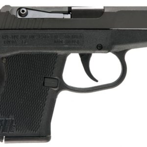 KEL P3ATPKBLK 380ACP PARK