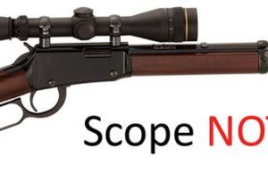 HENRY H001TM LEVER FRONTIER OCTAGON 22MAG