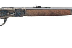 WGUN 534217141 M1873 SPR OCT CC 45COLT