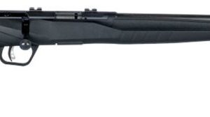 SAV 70201 B22FV 22LR