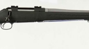 RUG 16959 AMERICAN 22-250 1:8 2TN/SS