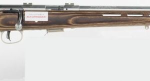 SAV 94725 93BTVS 22WMR AT