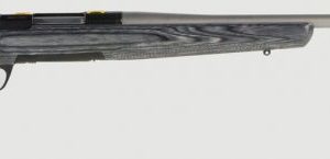 BRN 035-439248 XBLT ECLP HNT 270WSM MT GRAY