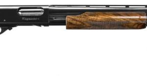 REM 82010 870 WNGMSGR 12 28 CLARO