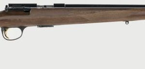 BRN 025-175204 T-BLT 22WMR SPTR SAT