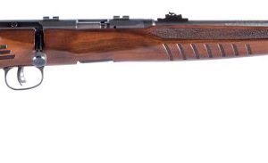 SAV 70510 B22G MAG 22WMR