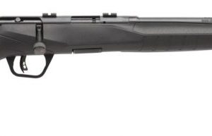 SAV 70814 B17F 17HMR COMPACT