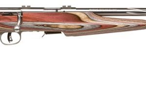 SAV 96771 93R17BSEV 17HMR