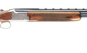 BRN 013-462604 CIT WHT LGT 20 28 IV+