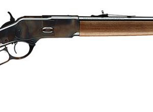 WGUN 534202137 M1873 CCH 357/38