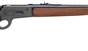 TAY S743.457 1886/71 WLDBSTR RFL 4570