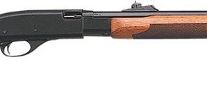 REM 25624 572 BDL DLX 22 PUMP