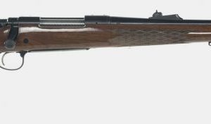 REM 25791 700 BDL 270 WIN