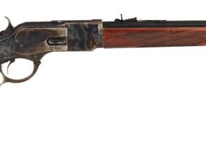 TAY 2043 1873 LEVER CHK 20IN 357