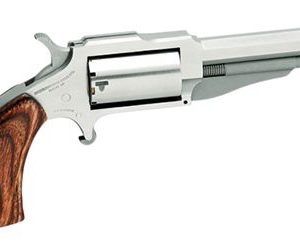 NAA 18603 EARL 22MAG 3IN