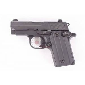 Sig Sauer P238 Fish Scale