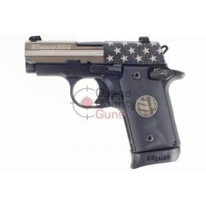 Sig Sauer P238 Stand - .380 ACP