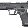 SPRINGFIELD ECHELON