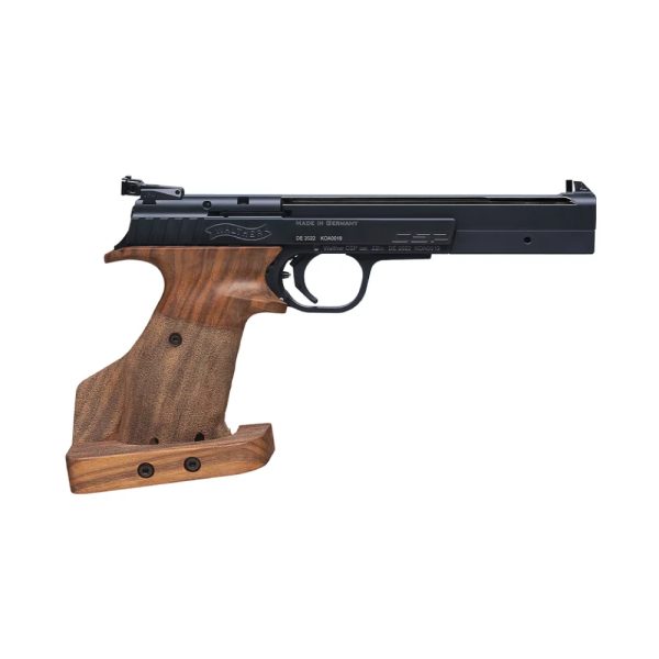 CSP Expert Walnut